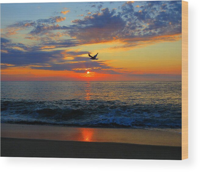 Sea Wood Print featuring the photograph Dawning Flight by Dianne Cowen Cape Cod Photography