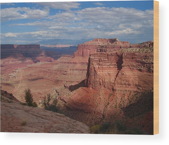 Landscape Wood Print featuring the photograph Dead Horse Point by Richard Deurer