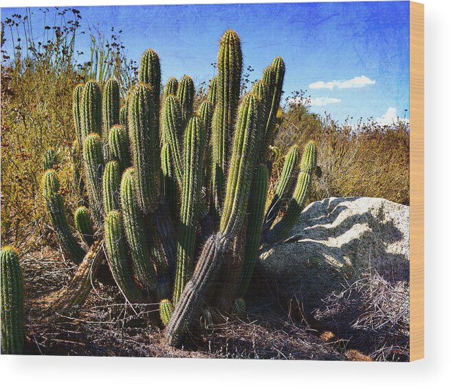 Glenn Mccarthy Wood Print featuring the photograph Desert Plants - The Wild Bunch by Glenn McCarthy Art and Photography