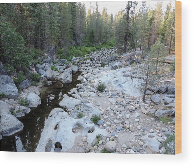 Creek Wood Print featuring the photograph Dinkey Creek 18 by Eric Forster