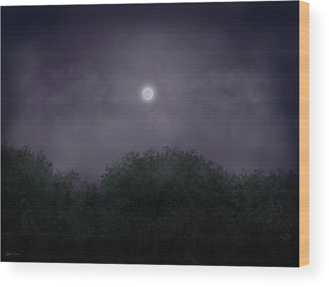 Night Wood Print featuring the painting Distant World by Steven Powers SMP