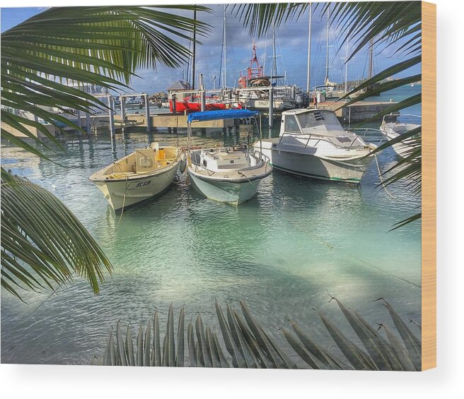 St Martin Wood Print featuring the photograph Docking in St Martin by Anne Sands