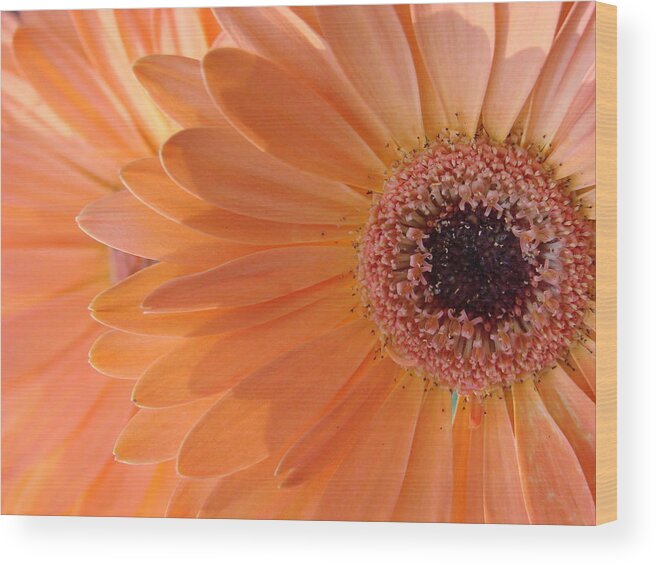 Floral Wood Print featuring the photograph Double Delight by Mary Halpin
