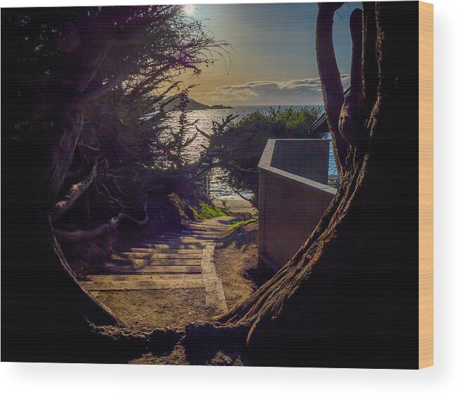 Monterey Wood Print featuring the photograph Down to the Beach by Derek Dean