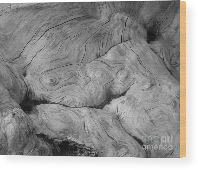 Driftwood Wood Print featuring the photograph Driftwood by Rex E Ater