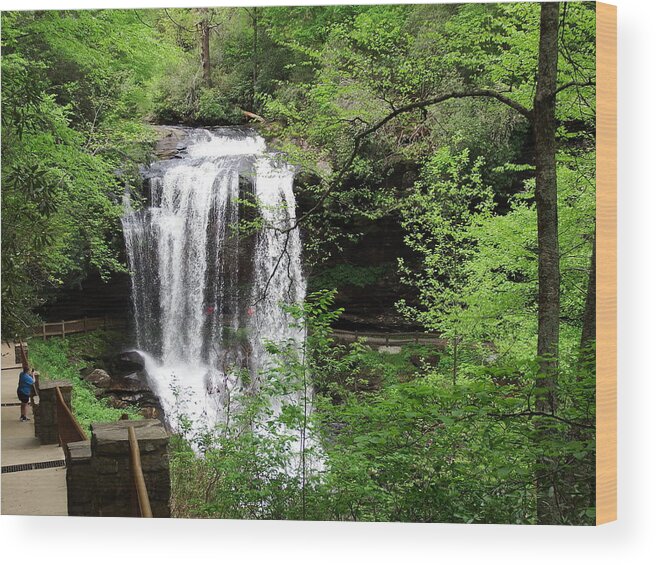 Waterfalls Wood Print featuring the photograph Dry Falls in the Spring by Cathy Harper