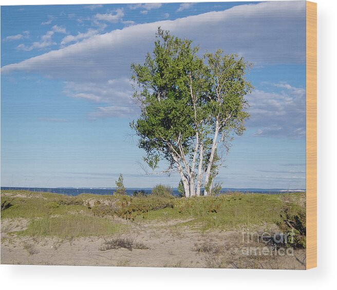 Sand Wood Print featuring the photograph Dune Landscape by Rich S