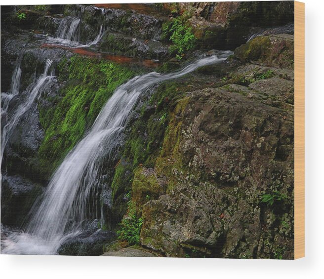 Dunnfield Creek Wood Print featuring the photograph Dunnfield Creek Falls 2 by Raymond Salani III
