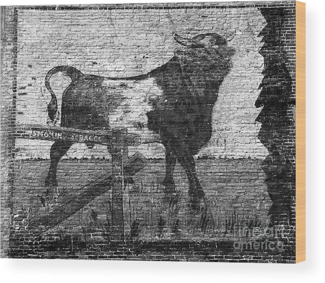 Bull Durham Wood Print featuring the photograph Durham's Bull by David Lee Thompson