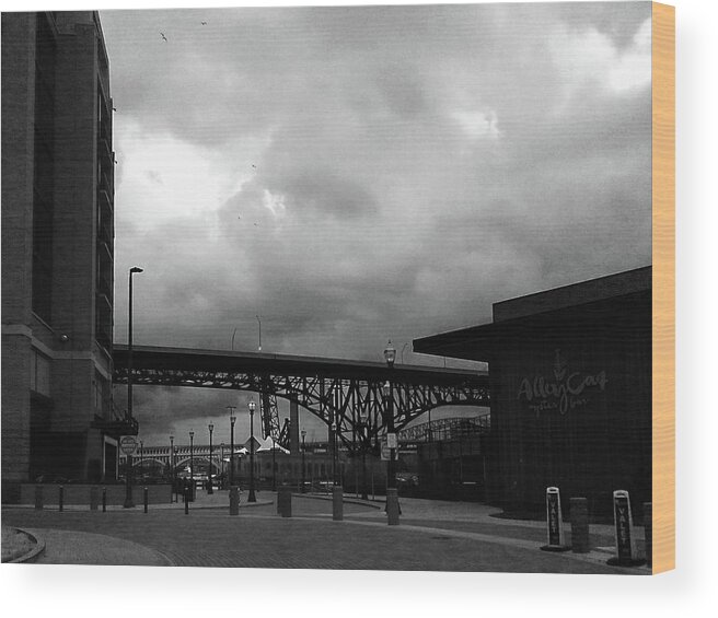 Cleveland Ohio East Bank Of The Flats Wood Print featuring the photograph Dusk by Anitra Handley-Boyt