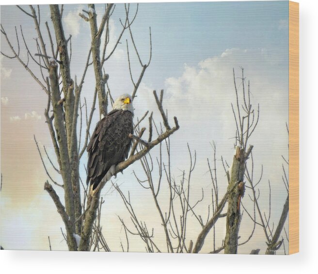 Eagle 2 Wood Print featuring the photograph Eagle 2 by Dark Whimsy
