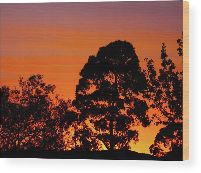 Sunrise Wood Print featuring the photograph Early Dawn by Mark Blauhoefer