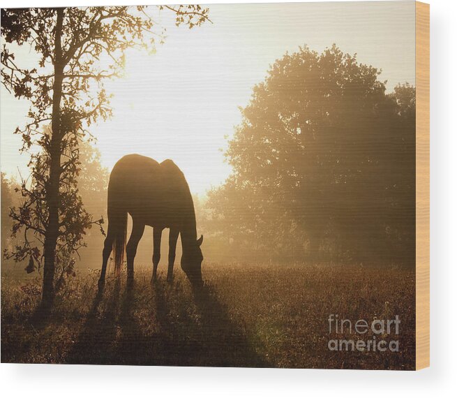 Horse Wood Print featuring the photograph Early Fall Morning by Sari ONeal