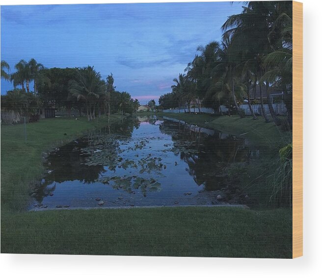 Canal Wood Print featuring the photograph Eerie Canal by Val Oconnor