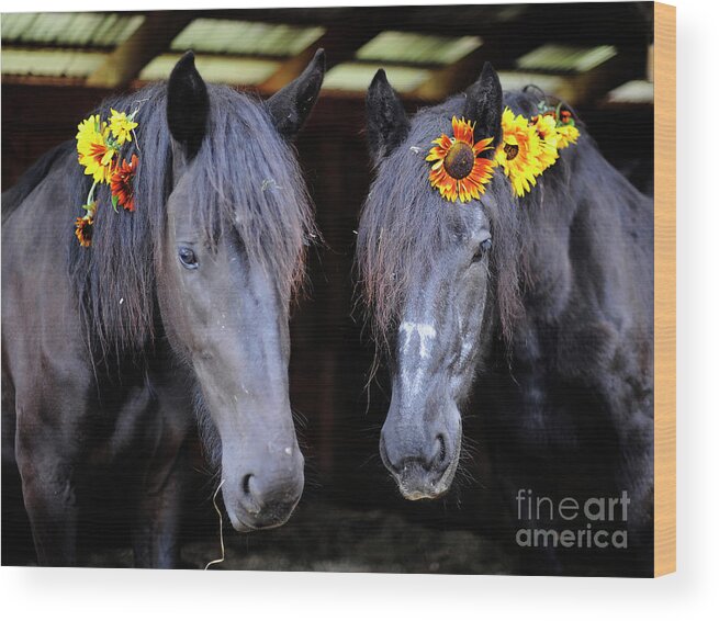 Rosemary Farm Wood Print featuring the photograph Ella and Isabelle by Carien Schippers