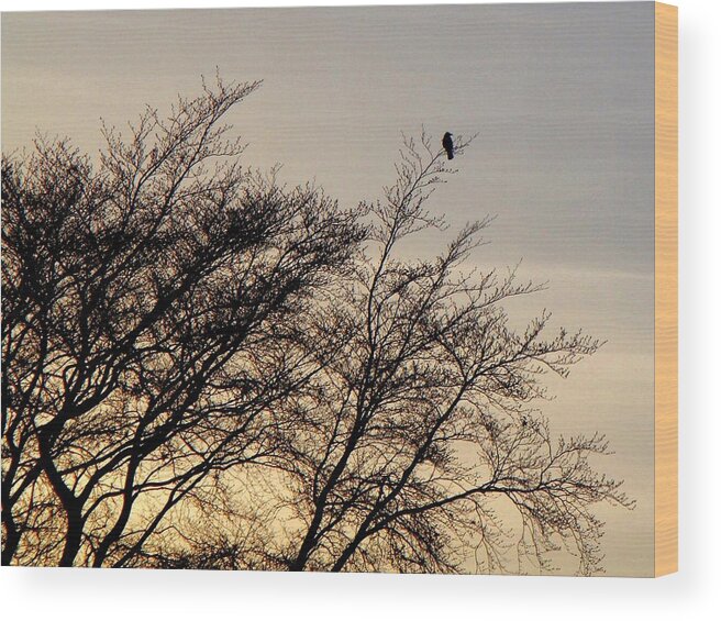 Raven Wood Print featuring the photograph End of Day by Roberto Alamino