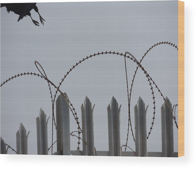 Bird Wood Print featuring the photograph Escape to freedom by Jeremy Holton