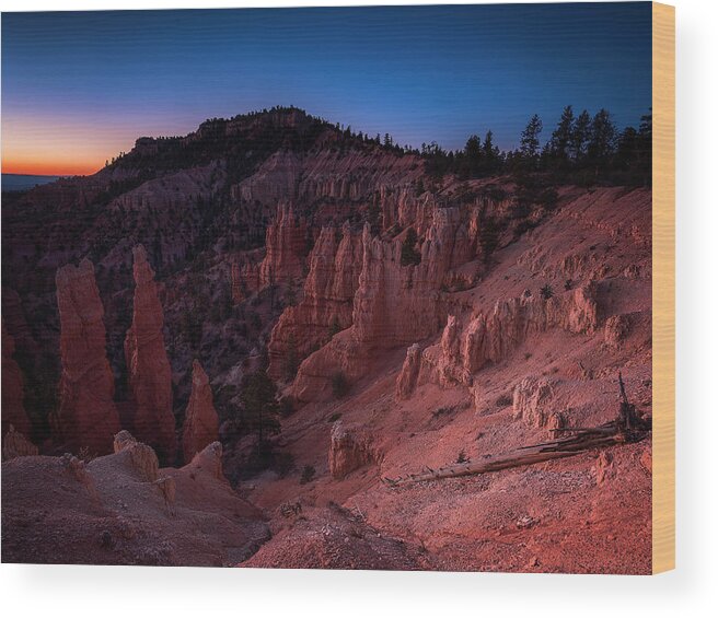 Art Work Wood Print featuring the photograph Fairyland Canyon by Edgars Erglis