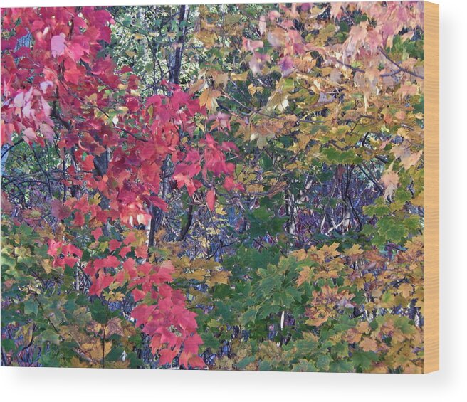 Landscape Wood Print featuring the photograph Fall 2016 3 by George Ramos