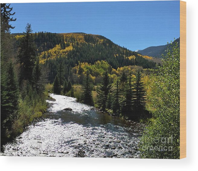 Stream Wood Print featuring the photograph Fall #1 by Dennis Richardson