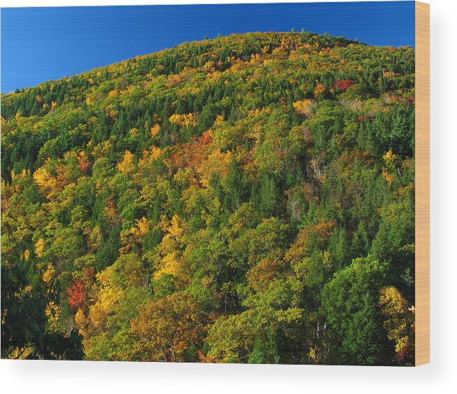 Landscape Wood Print featuring the photograph Fall Foliage Photography by Juergen Roth