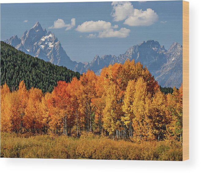 Fall Wood Print featuring the photograph Fall in the Tetons by Wesley Aston