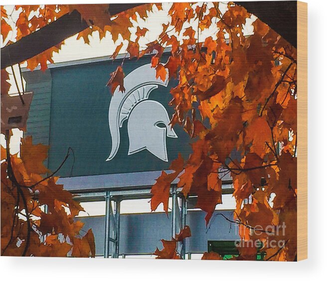 Msu Wood Print featuring the photograph Fall is Football by Joseph Yarbrough