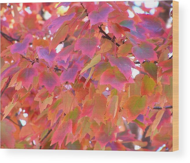 Leaves Wood Print featuring the photograph Fall by Jewels Hamrick