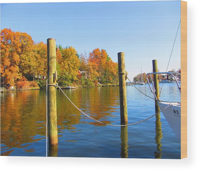 River Wood Print featuring the photograph Fall on the Magothy by Beth Deitrick
