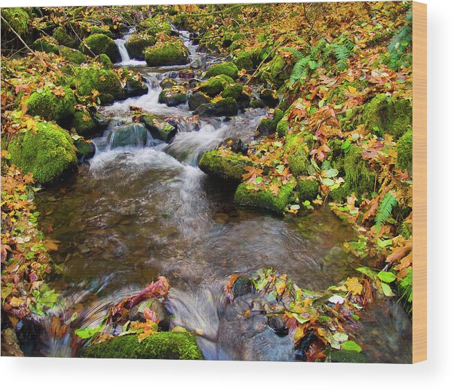 Landscapes Wood Print featuring the photograph Fall Splendor by Steven Clark