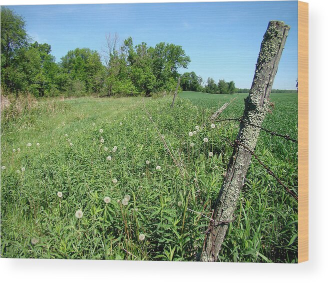 Landscape Wood Print featuring the photograph Fence Post by Todd Zabel