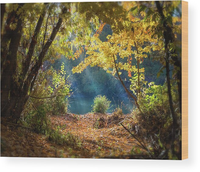 5dmkiv Wood Print featuring the photograph Filtered Light 3 by Mark Mille