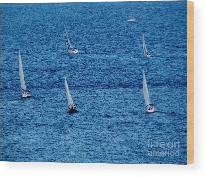 Sailing Wood Print featuring the photograph Five Sails by Corinne Carroll