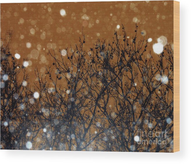 Snowflakes Wood Print featuring the photograph Flakes in the Dark by Onedayoneimage Photography