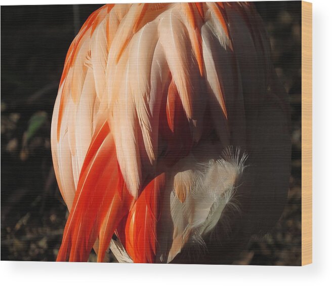 Flamingo Wood Print featuring the digital art Flamingo Feathers by Kathleen Illes