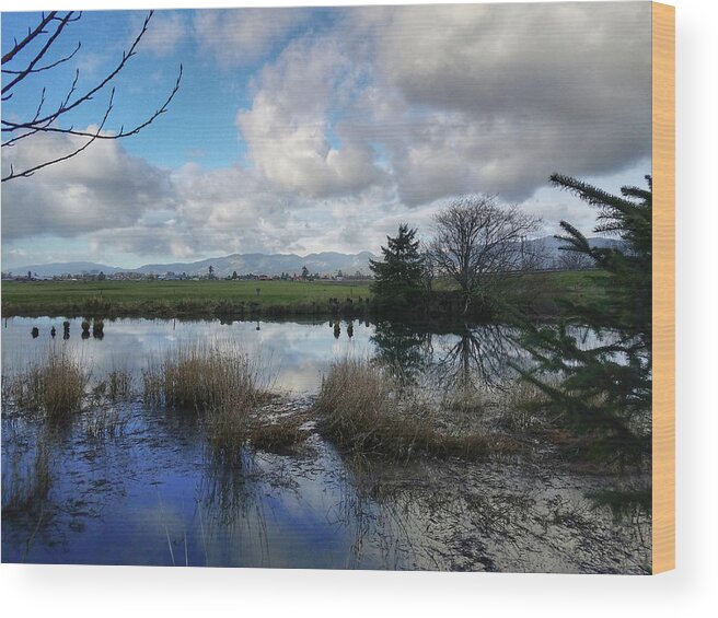 Landscape Wood Print featuring the photograph Flooding River, Field and Clouds by Chriss Pagani