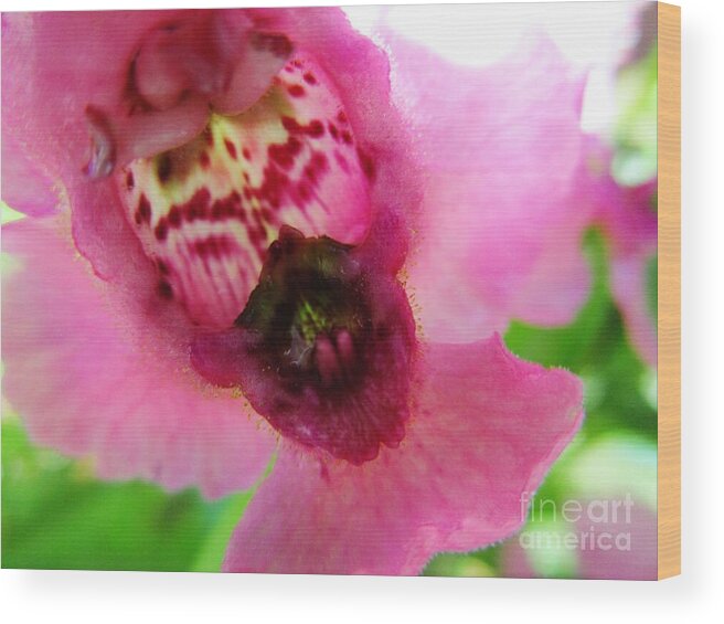 Floral Wood Print featuring the photograph Floral Mask by Sharon Ackley