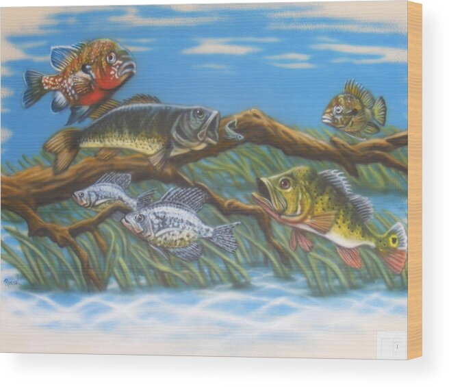 Florida Freshwater Fish Wood Print by Dan Remmel - Fine Art America