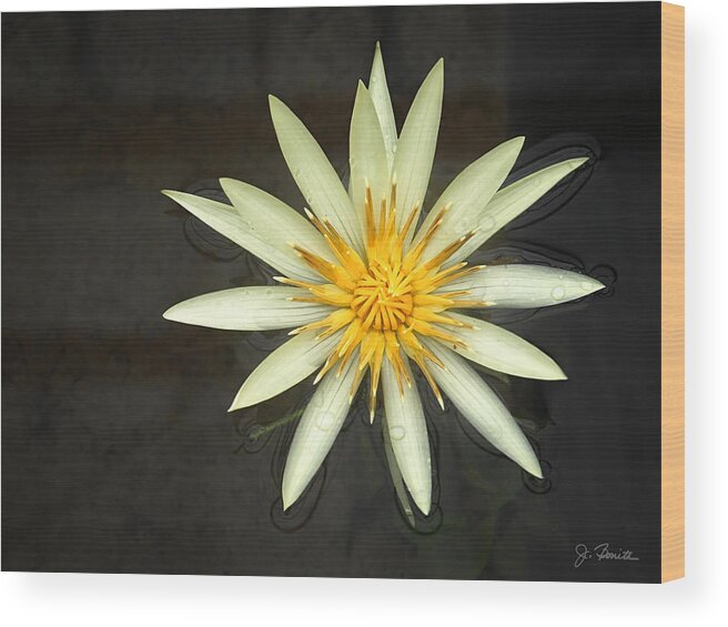 Flower Wood Print featuring the photograph Flowerburst by Joe Bonita