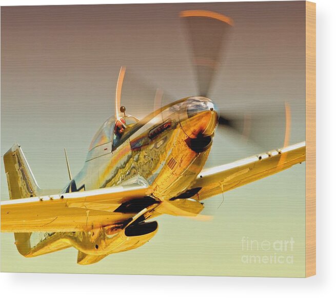 Airplane Wood Print featuring the photograph Flyin Golden Boeing North American P-51D Mustang and Brant Seghetti  by Gus McCrea