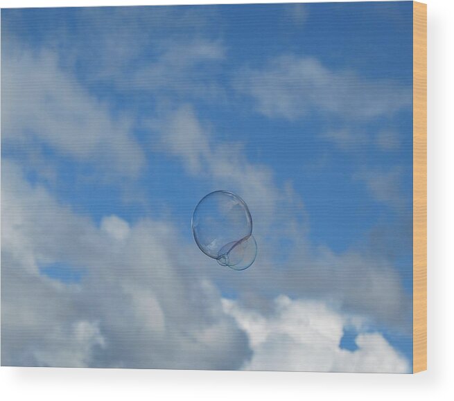 Bubbles Wood Print featuring the photograph Flying Free by Marilynne Bull