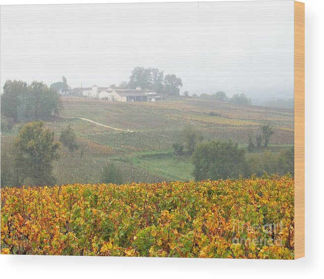 France Wood Print featuring the photograph Foggy French Vineyard by Barbara Plattenburg