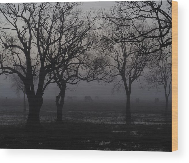 Fog Wood Print featuring the photograph Foggy Morning by Jerry Connally