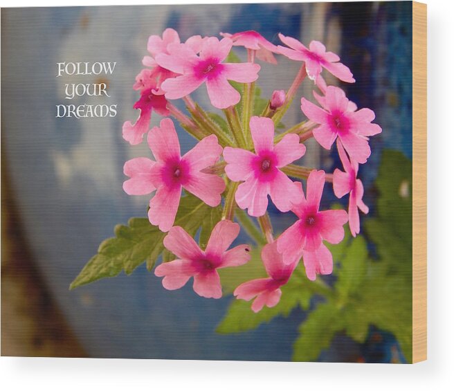 Pink Flowers Wood Print featuring the photograph Follow your dreams by Sue Morris