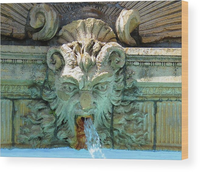 Thousand Island Wood Print featuring the photograph The Fountain by Dennis McCarthy