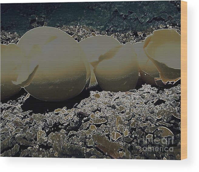 Environment Wood Print featuring the photograph Fragile Waters by Kristine Nora