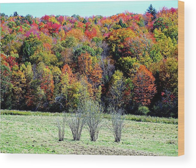 United States Wood Print featuring the photograph From New Hampshire with Love - Fall Foliage by Joseph Hendrix