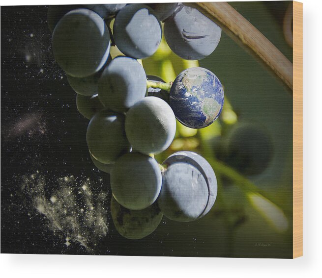 2d Wood Print featuring the photograph Fruit Of The Vine by Brian Wallace
