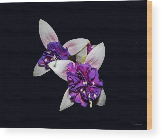 Flowers Wood Print featuring the photograph Fuchsia by Harold Zimmer