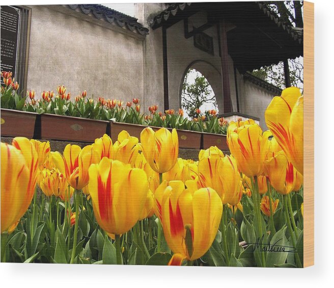 China Wood Print featuring the photograph Garden in Hangzhou by Marti Green